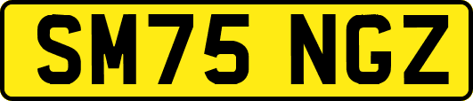 SM75NGZ