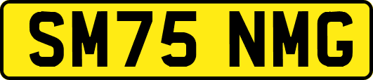 SM75NMG