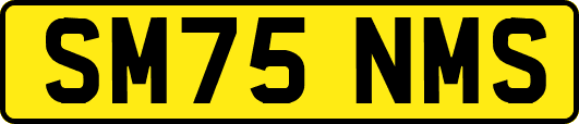 SM75NMS
