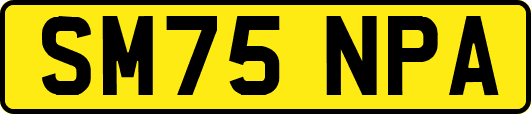 SM75NPA