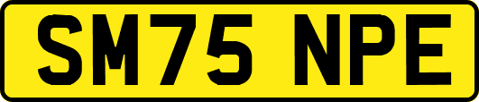 SM75NPE