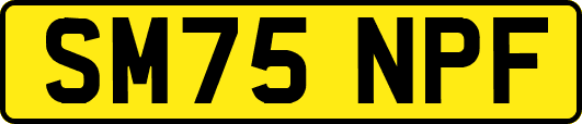 SM75NPF