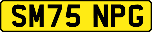 SM75NPG