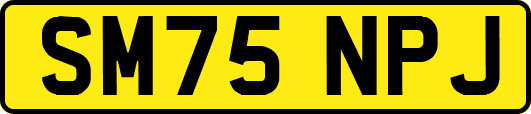 SM75NPJ