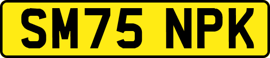 SM75NPK