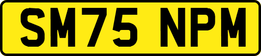 SM75NPM