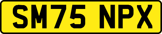 SM75NPX