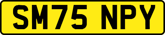 SM75NPY