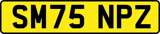 SM75NPZ