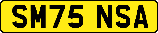 SM75NSA