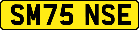 SM75NSE