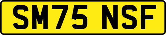 SM75NSF