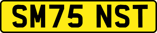 SM75NST