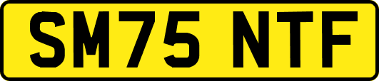SM75NTF