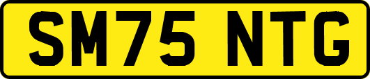 SM75NTG