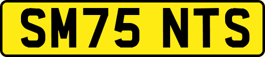 SM75NTS