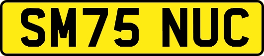 SM75NUC