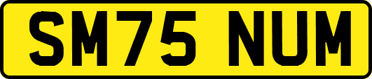SM75NUM