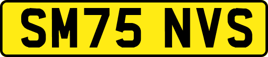 SM75NVS