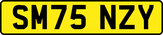 SM75NZY