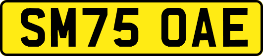 SM75OAE