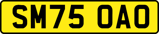 SM75OAO
