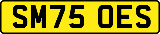 SM75OES