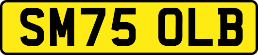SM75OLB