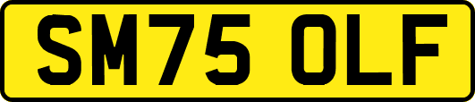 SM75OLF