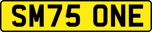 SM75ONE