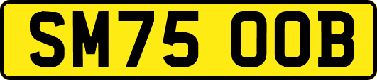 SM75OOB