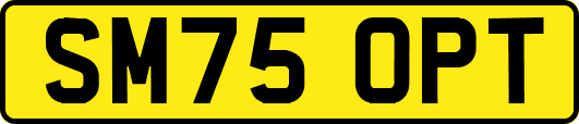 SM75OPT