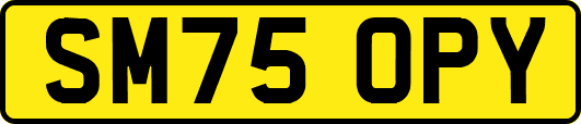 SM75OPY