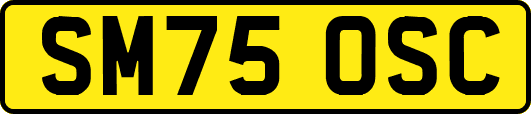 SM75OSC