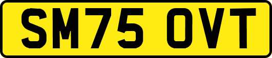 SM75OVT