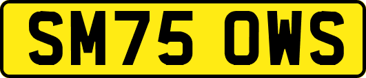 SM75OWS