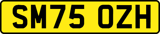 SM75OZH