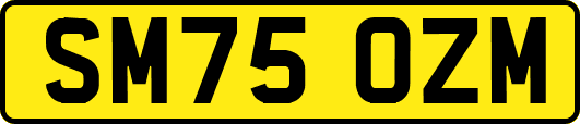 SM75OZM