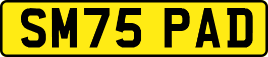 SM75PAD