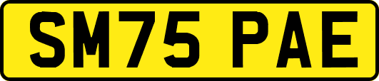 SM75PAE