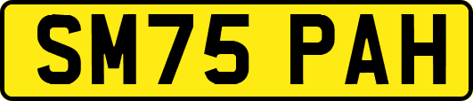 SM75PAH