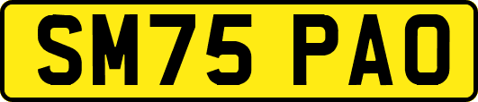 SM75PAO