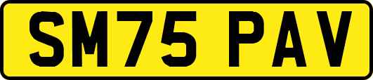 SM75PAV