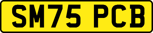 SM75PCB