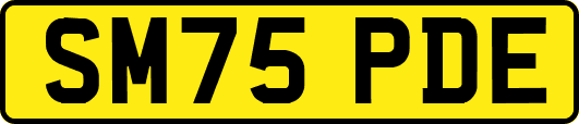 SM75PDE