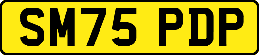 SM75PDP