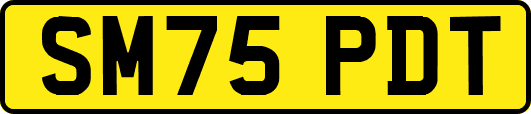SM75PDT