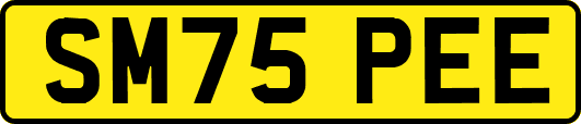 SM75PEE
