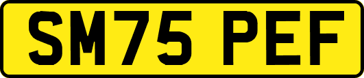 SM75PEF