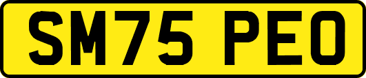 SM75PEO